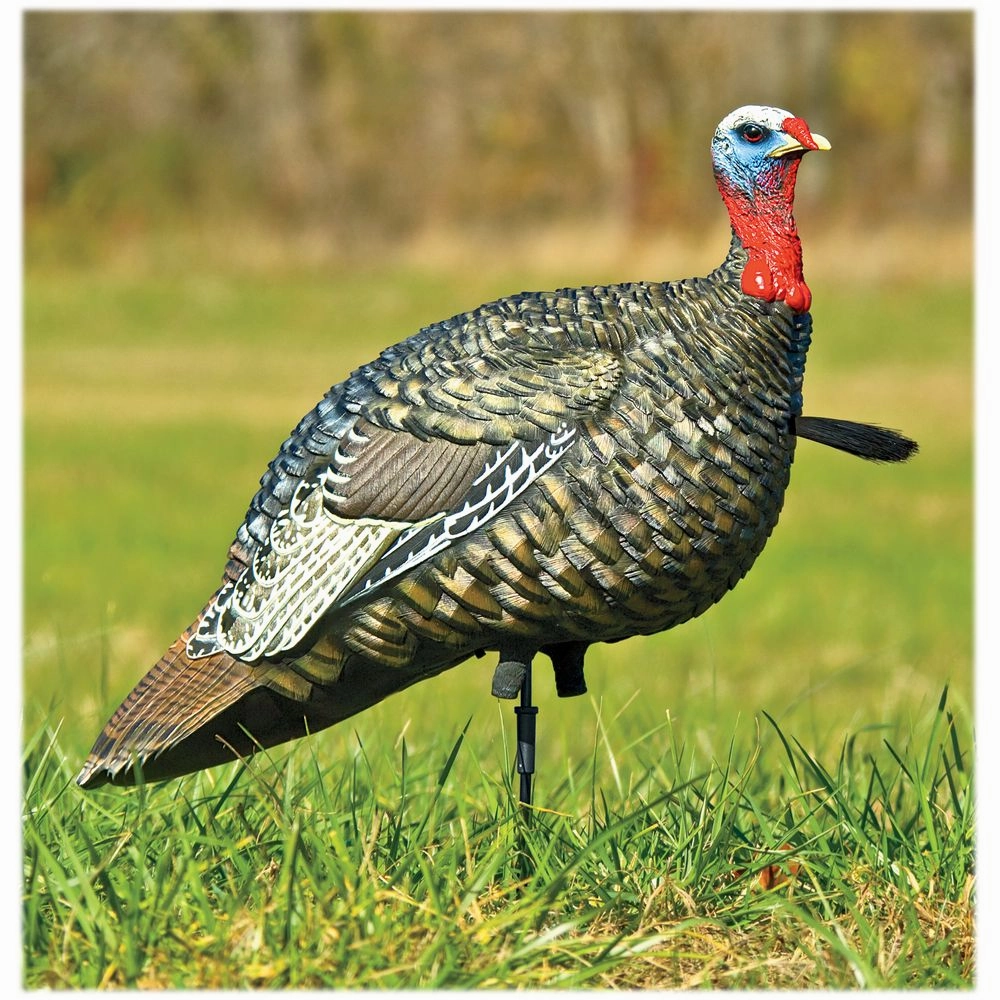 Avian-X AVX8003 LCD Lifelike Collapsible Decoy Jake Turkey Decoy
