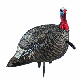 Avian-X AVX8003 LCD Lifelike Collapsible Decoy Jake Turkey Decoy