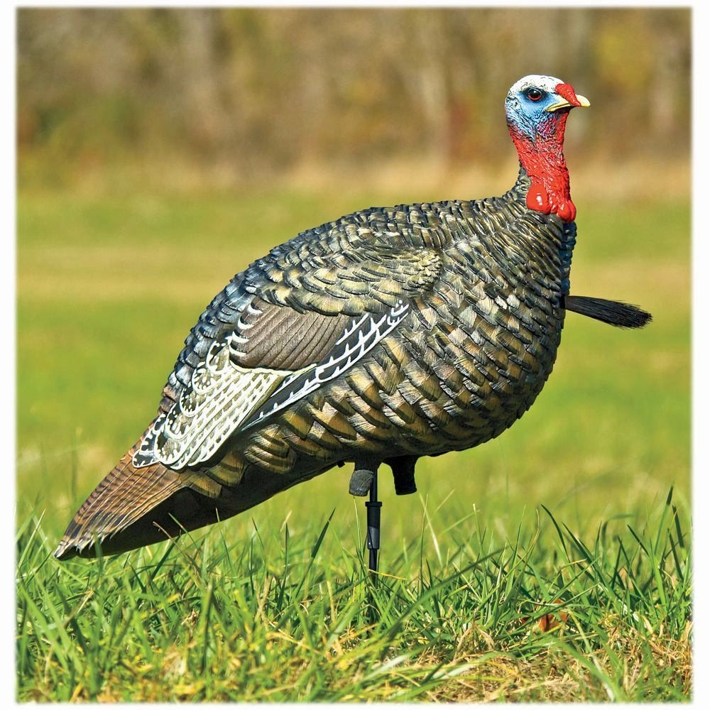 Avian-X AVX8003 LCD Lifelike Collapsible Decoy Jake Turkey Decoy