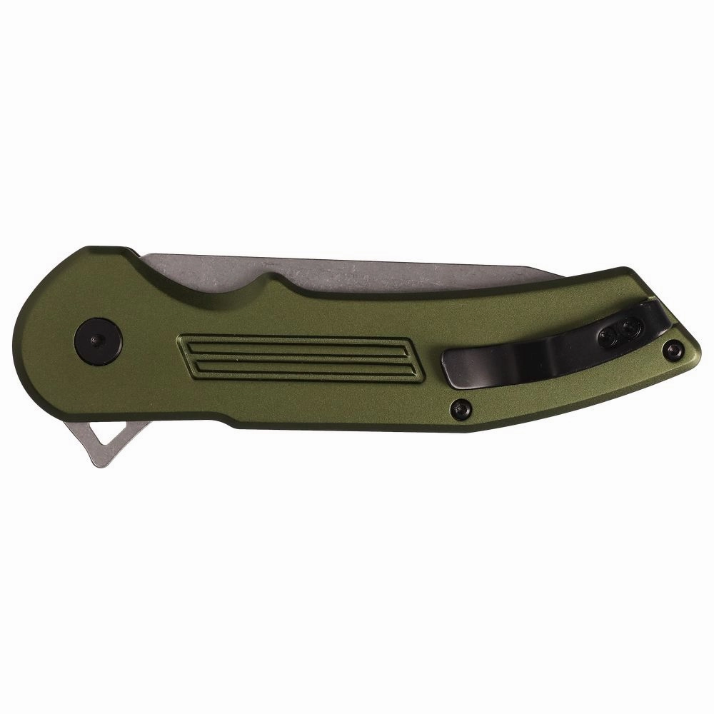 Buck 0262ODS-C Hexam Spring-Assisted Folding Knife
