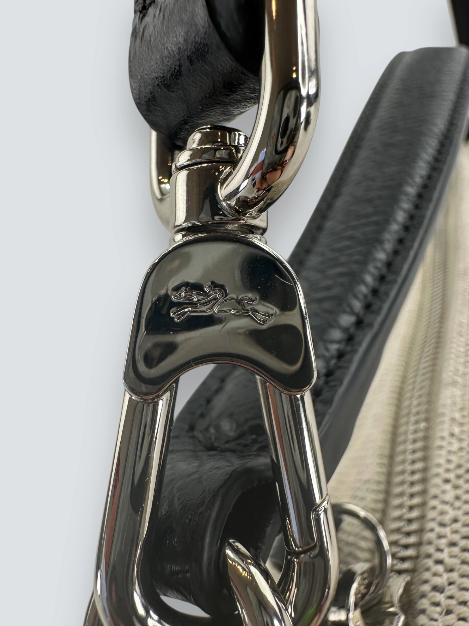Longchamp Cream Canvas Crossbody