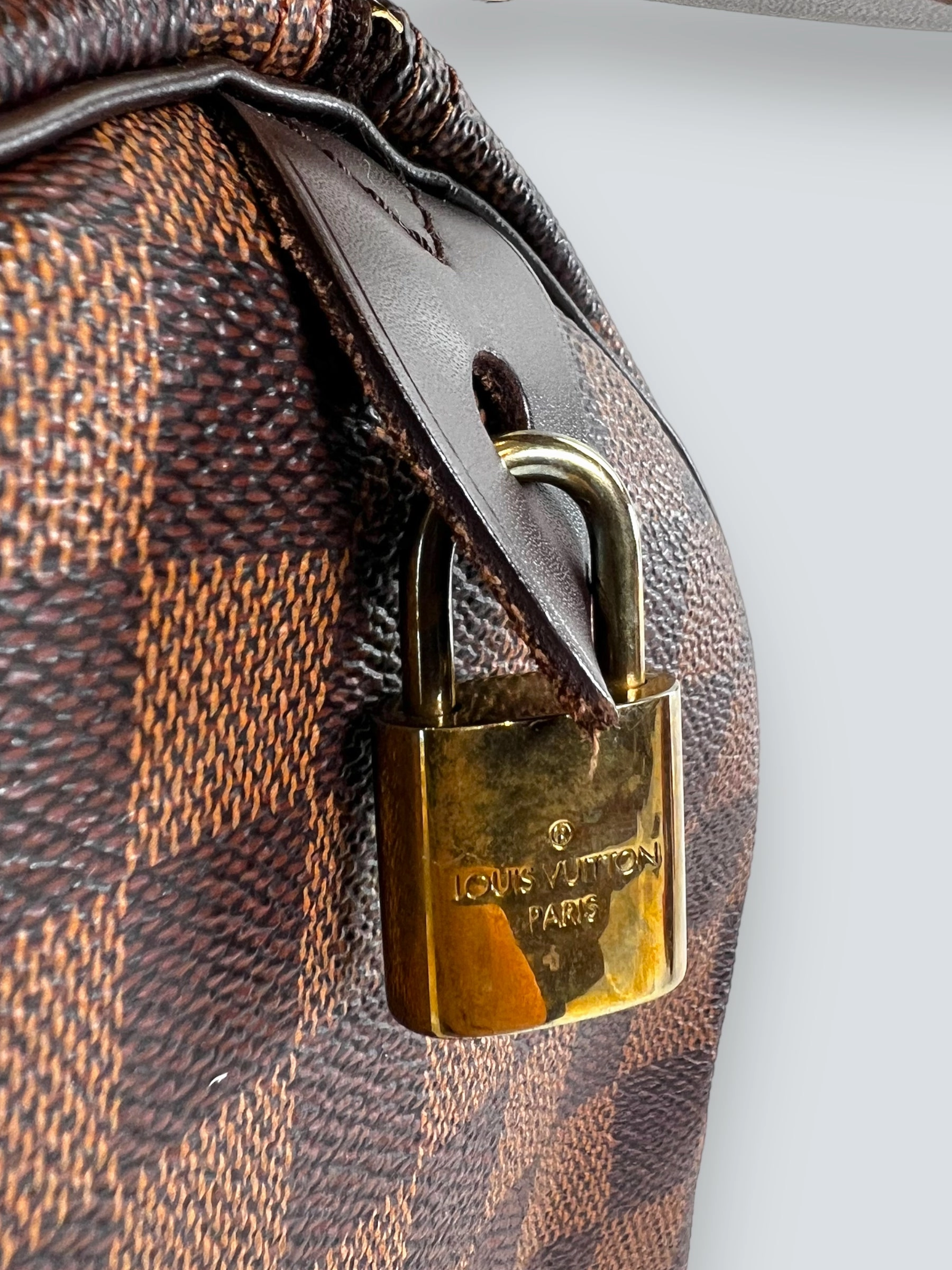 Louis Vuitton Damier Ebene Canvas Speedy 30
