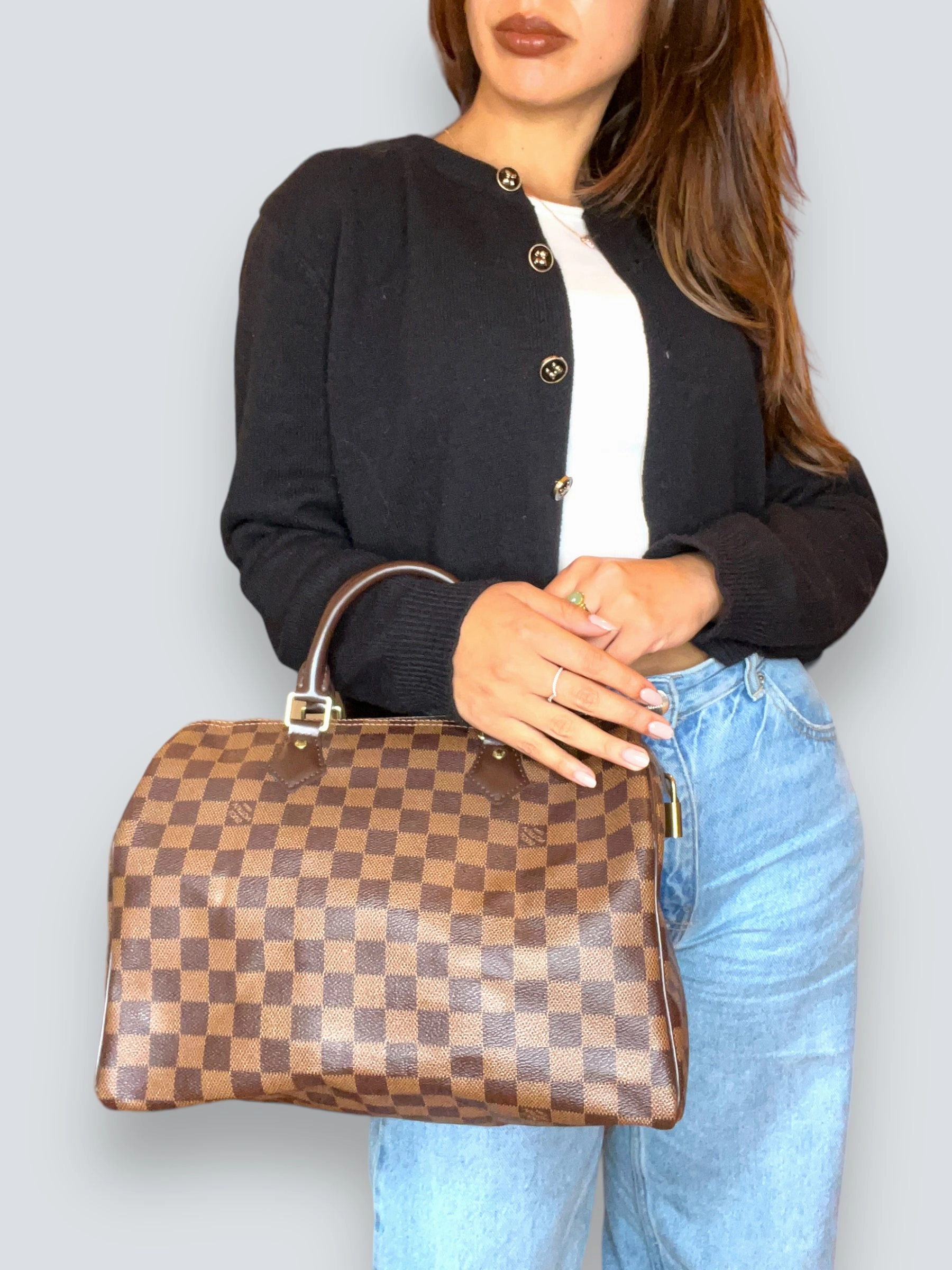 Louis Vuitton Damier Ebene Canvas Speedy 30
