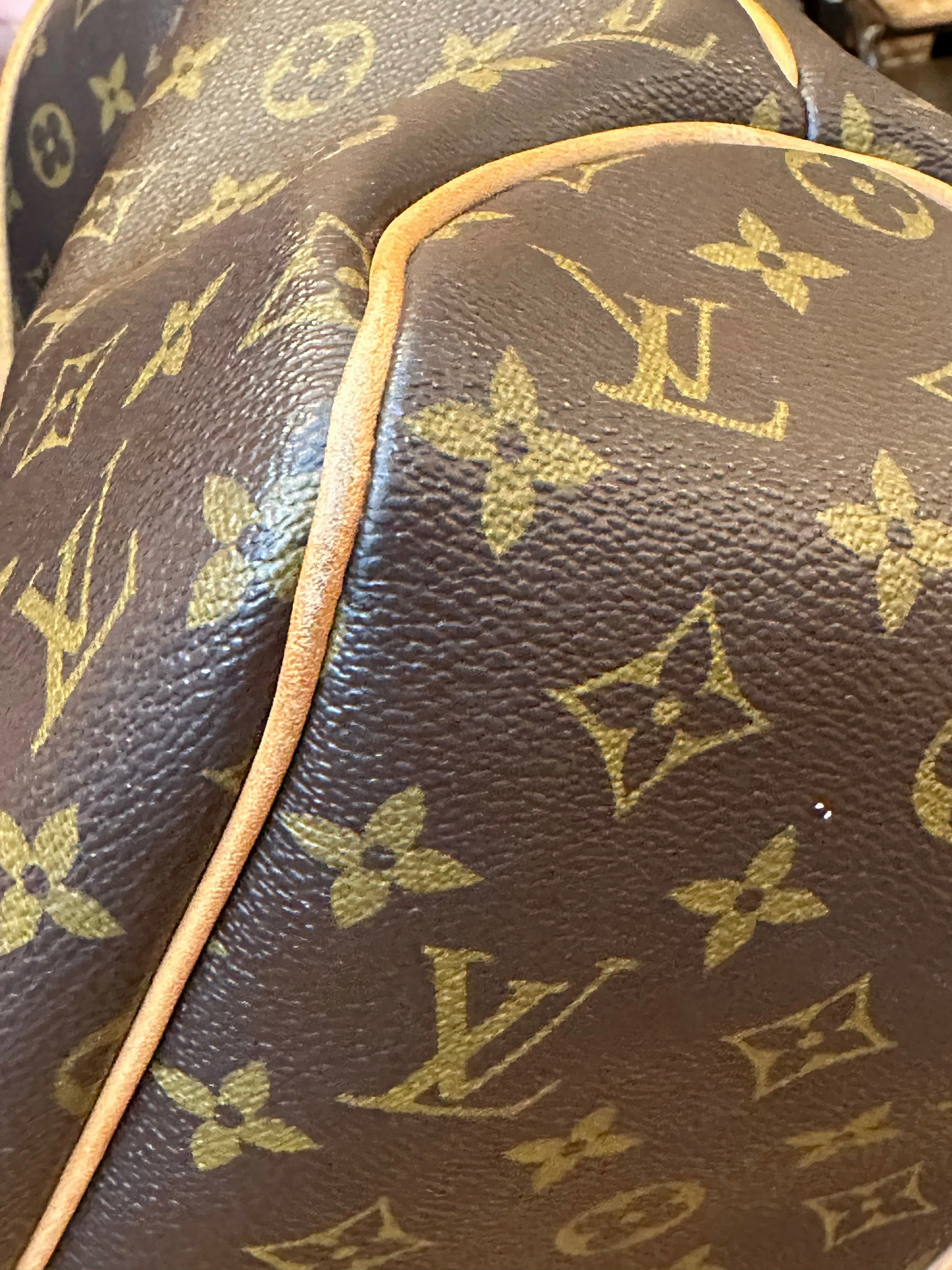 Louis Vuitton Monogram Canvas Delightful Hobo