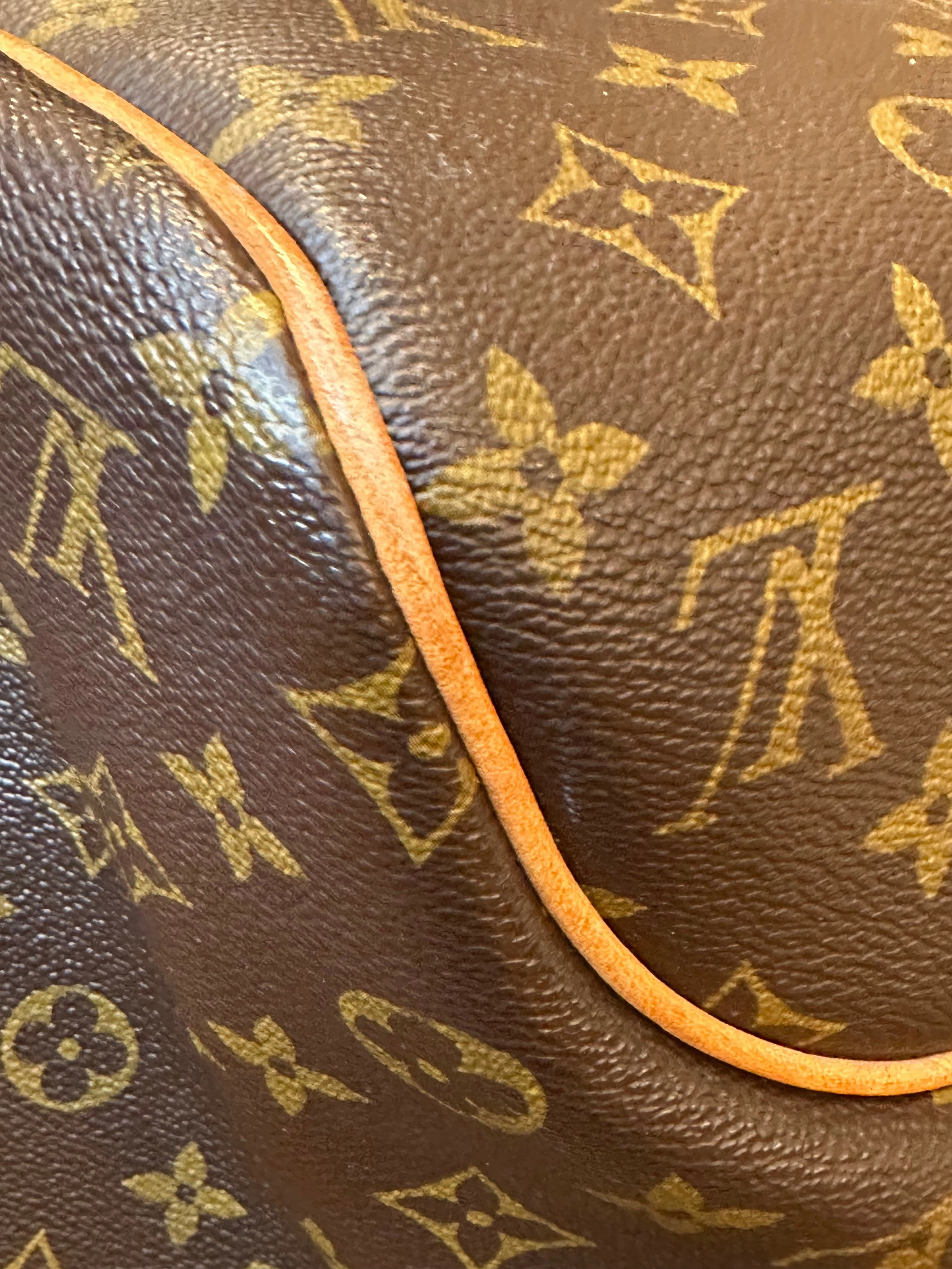 Louis Vuitton Monogram Canvas Delightful Hobo