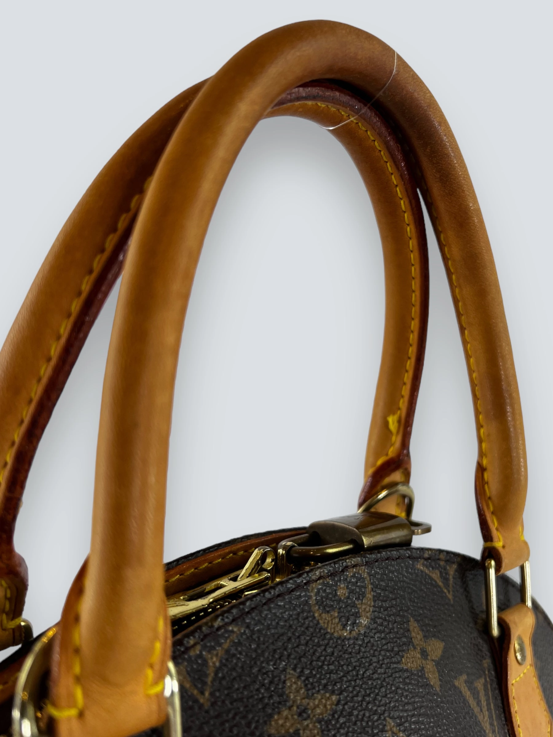 Louis Vuitton Monogram Canvas Ellipse Tote