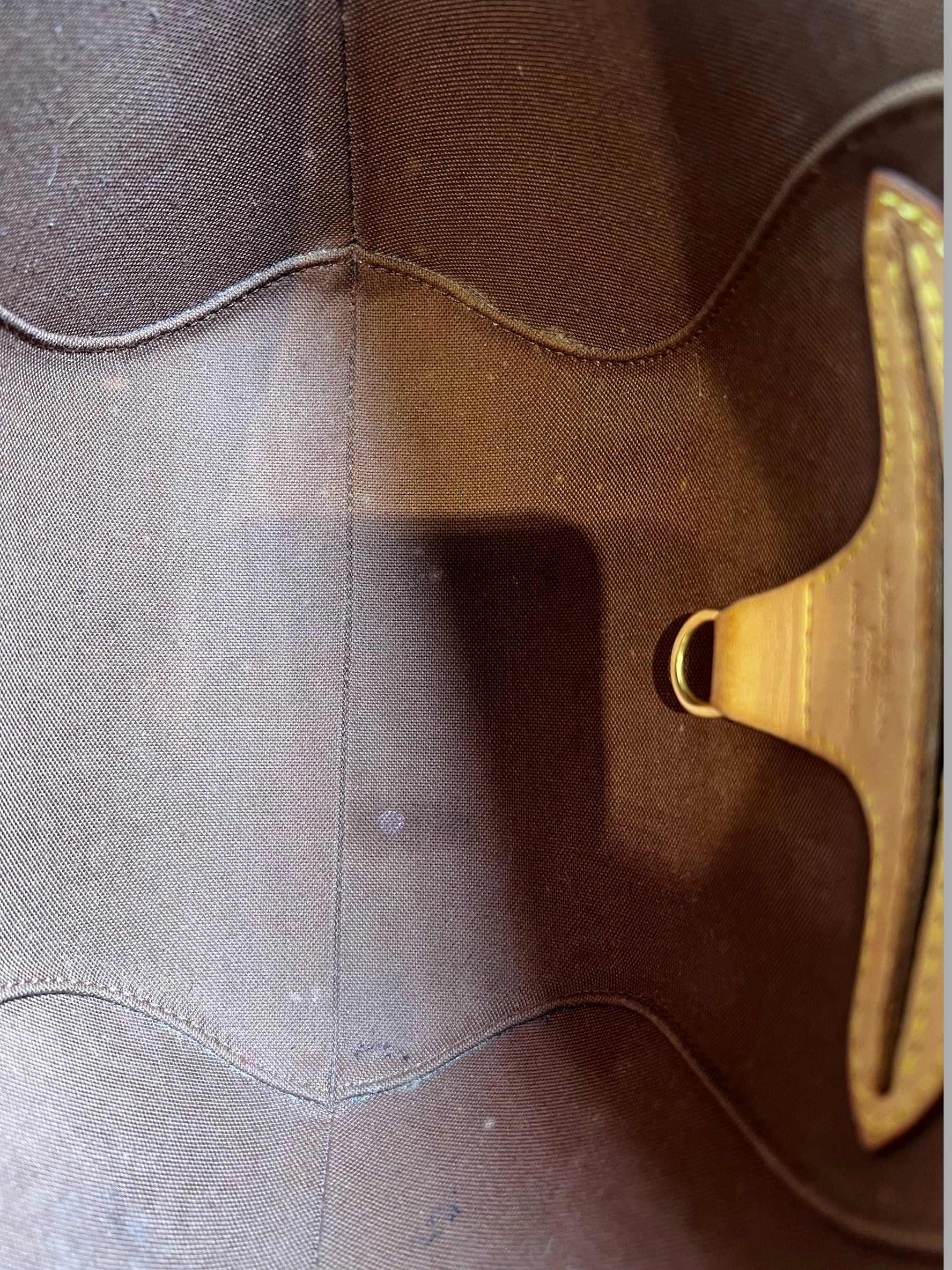 Louis Vuitton Monogram Canvas Ellipse Tote