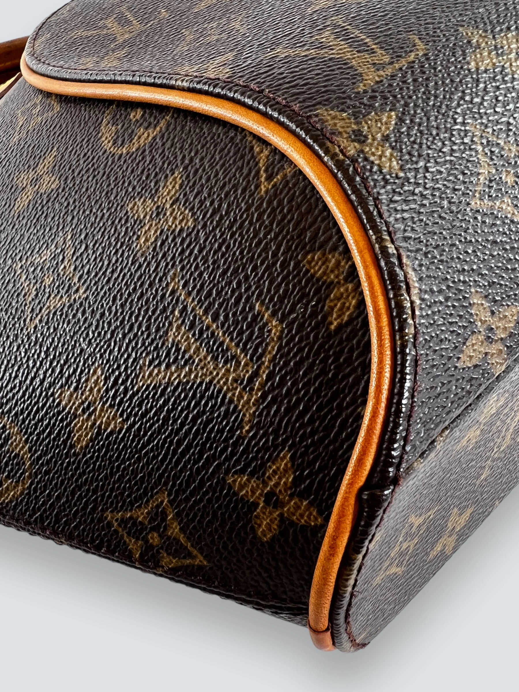 Louis Vuitton Monogram Canvas Ellipse Tote