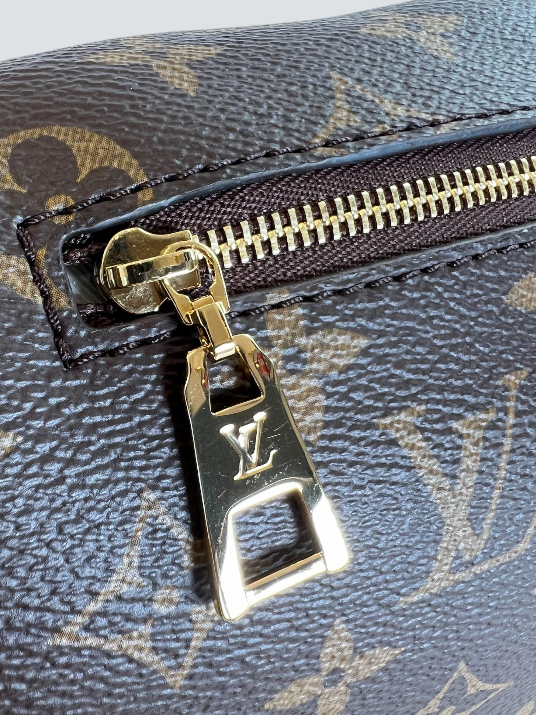 Louis Vuitton Monogram Canvas High Rise Bum Bag