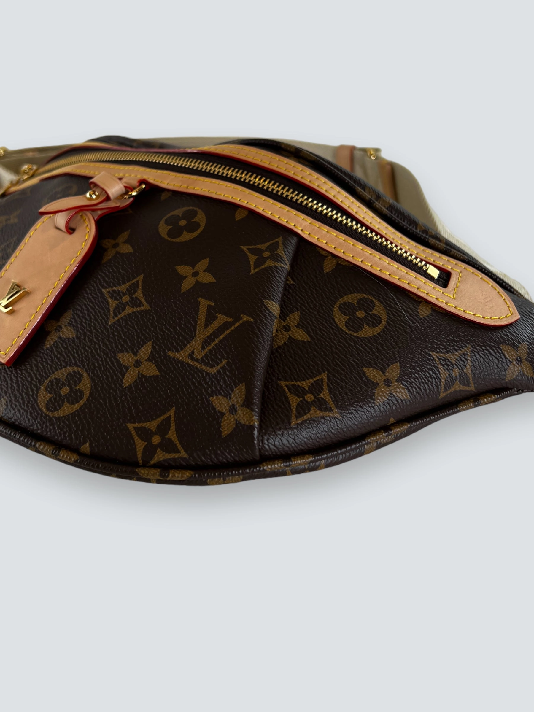 Louis Vuitton Monogram Canvas High Rise Bum Bag