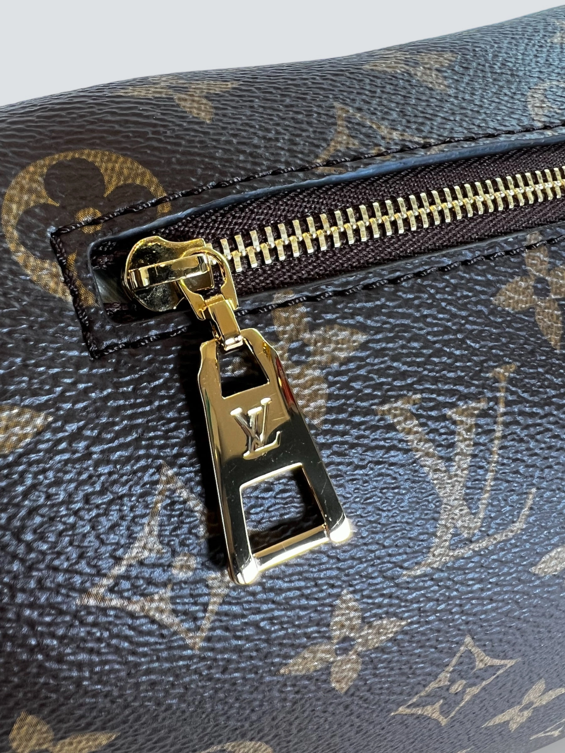 Louis Vuitton Monogram Canvas High Rise Bum Bag