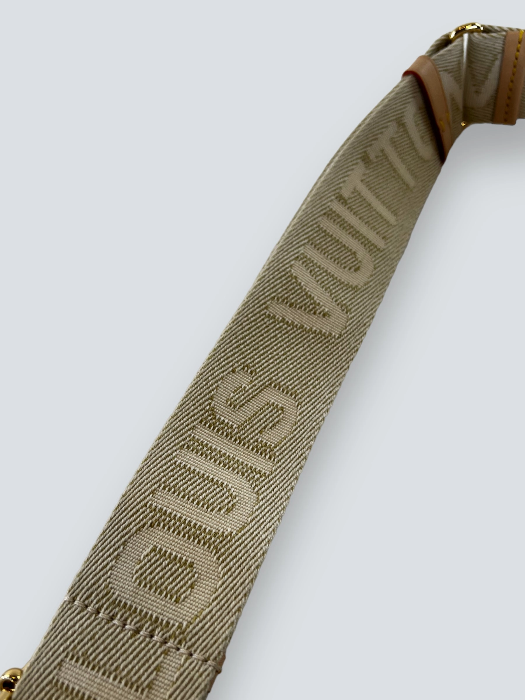Louis Vuitton Monogram Canvas High Rise Bum Bag