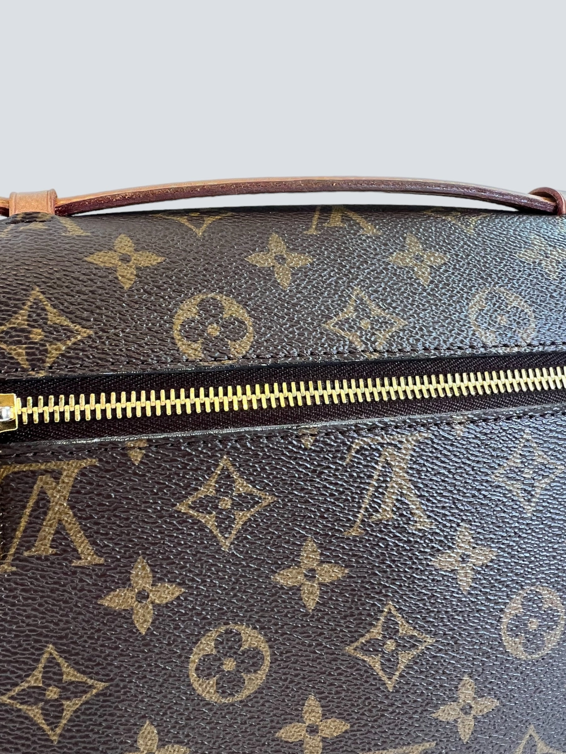Louis Vuitton Monogram Canvas Pochette Metis