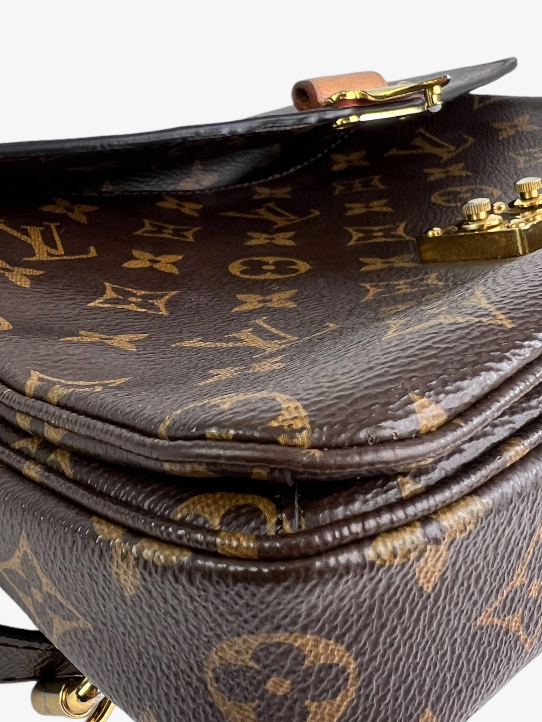 Louis Vuitton Monogram Canvas Pochette Metis Crossbody