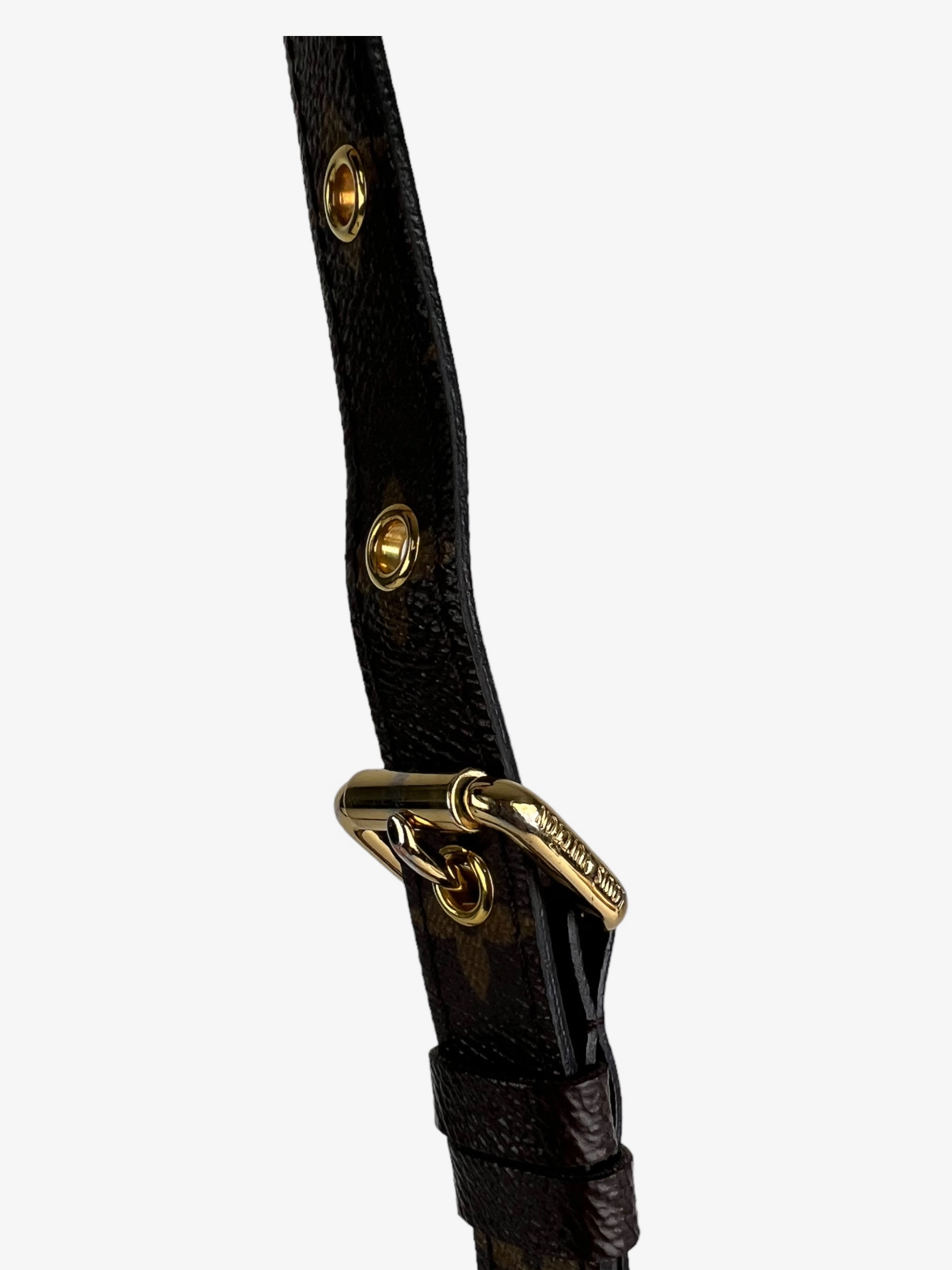 Louis Vuitton Monogram Canvas Pochette Metis Crossbody