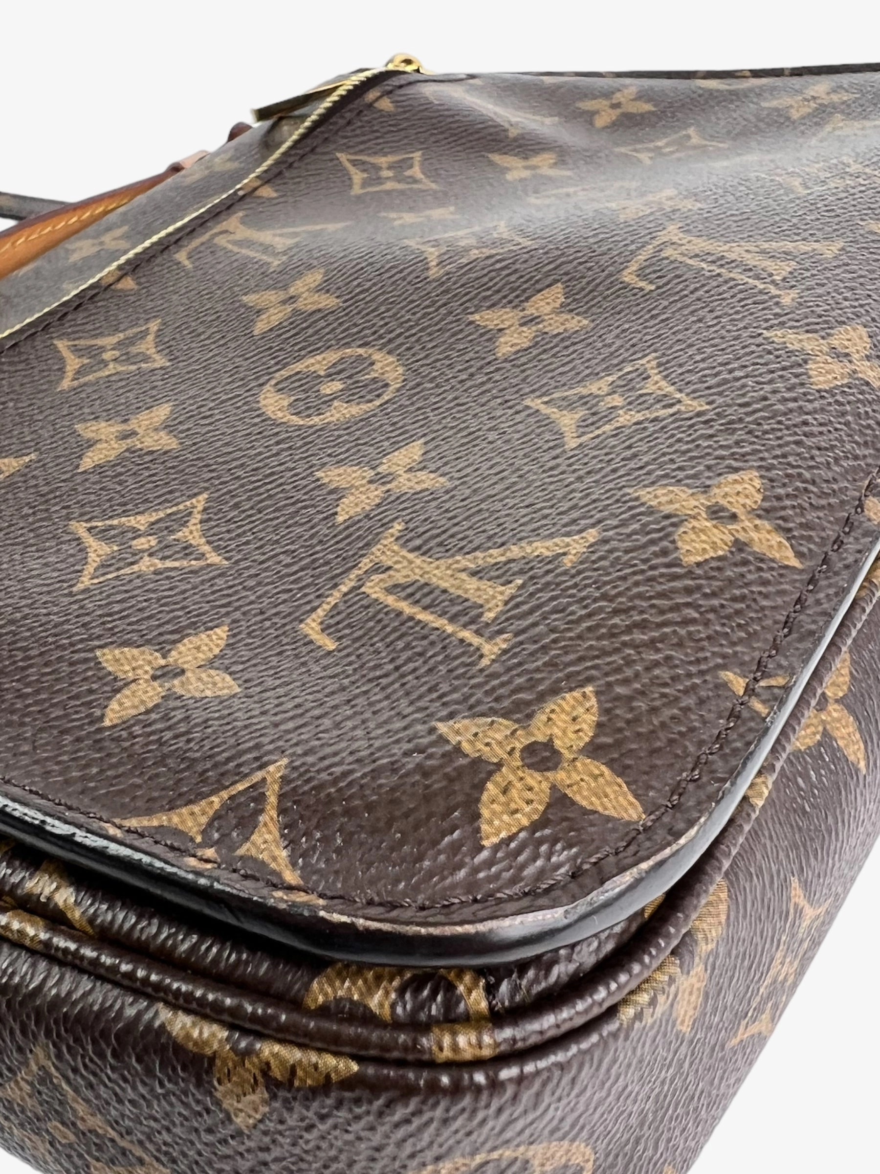Louis Vuitton Monogram Canvas Pochette Metis Crossbody