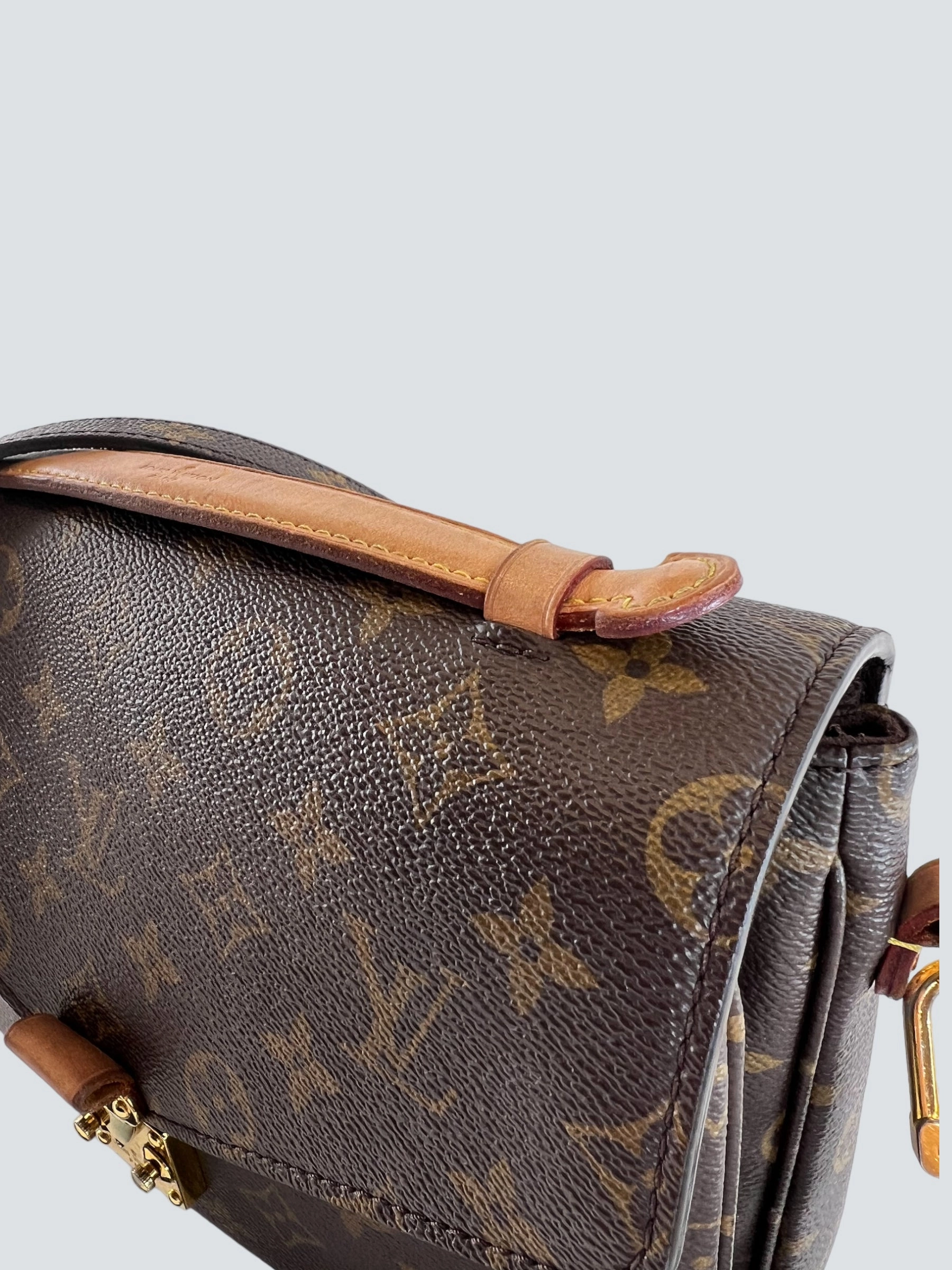 Louis Vuitton Monogram Canvas Pochette Metis