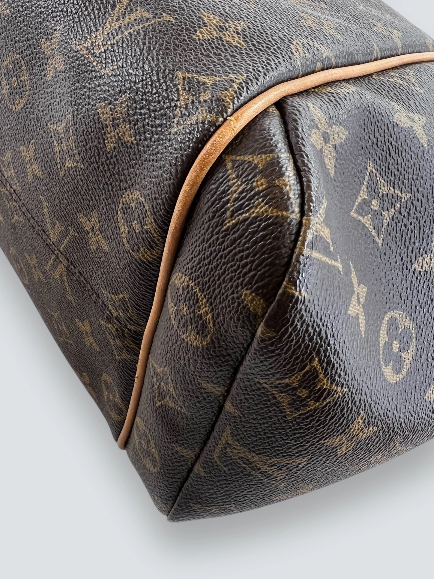 Louis Vuitton Monogram Canvas Totally Tote