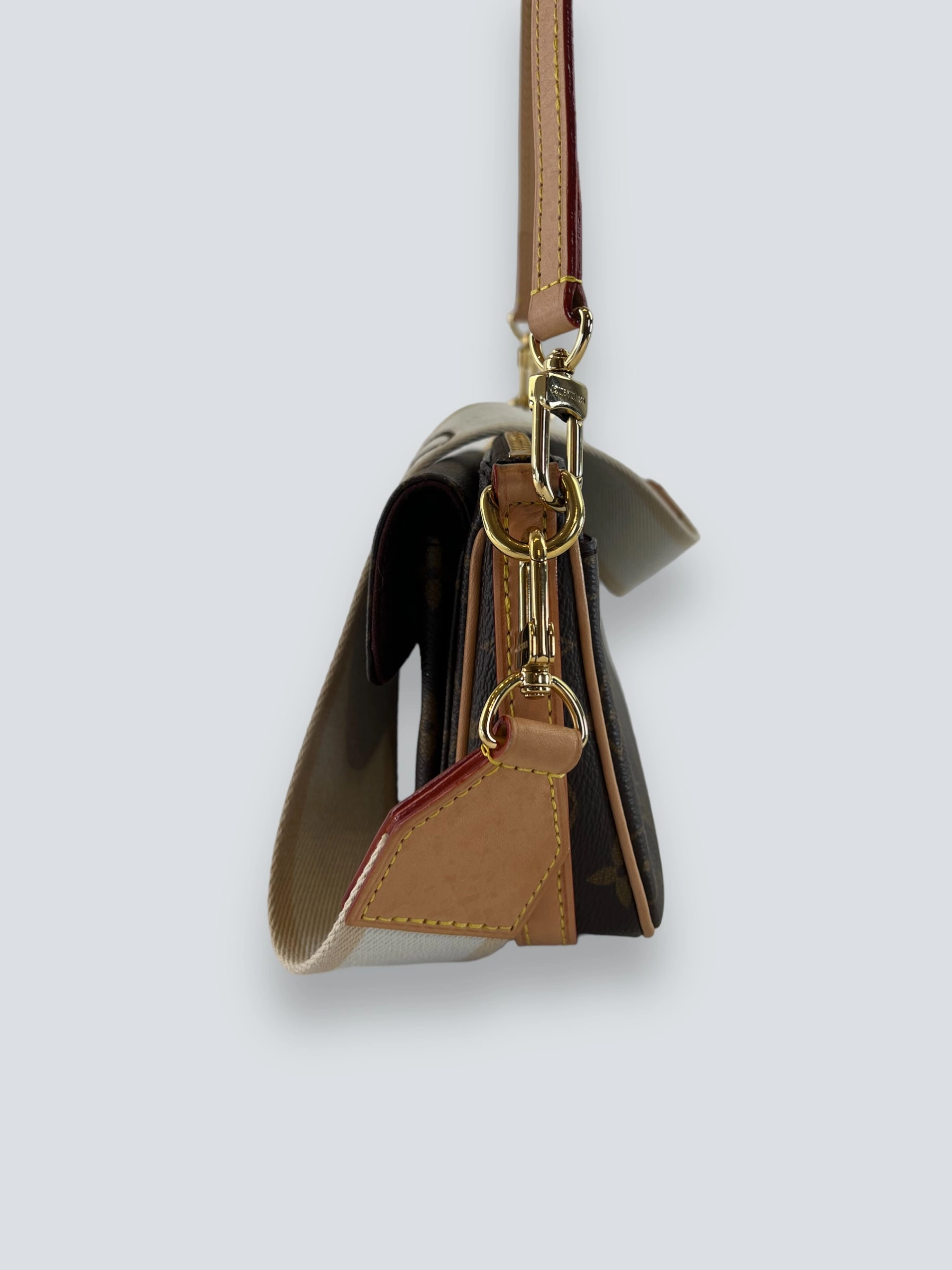 Louis Vuitton Monogram Canvas Vivacité Crossbody