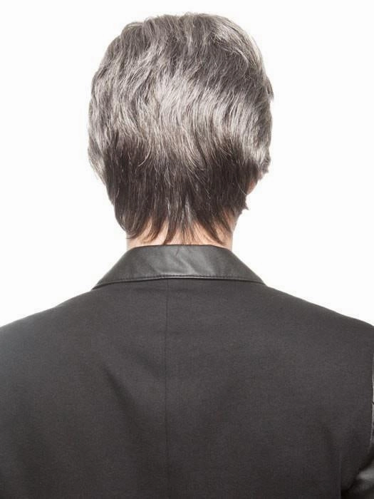 Roger 5 Star by Ellen Wille | Lace Front Wig for Men | CLOSEOUT