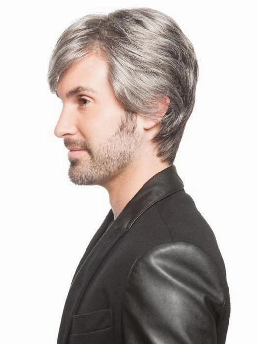 Roger 5 Star by Ellen Wille | Lace Front Wig for Men | CLOSEOUT
