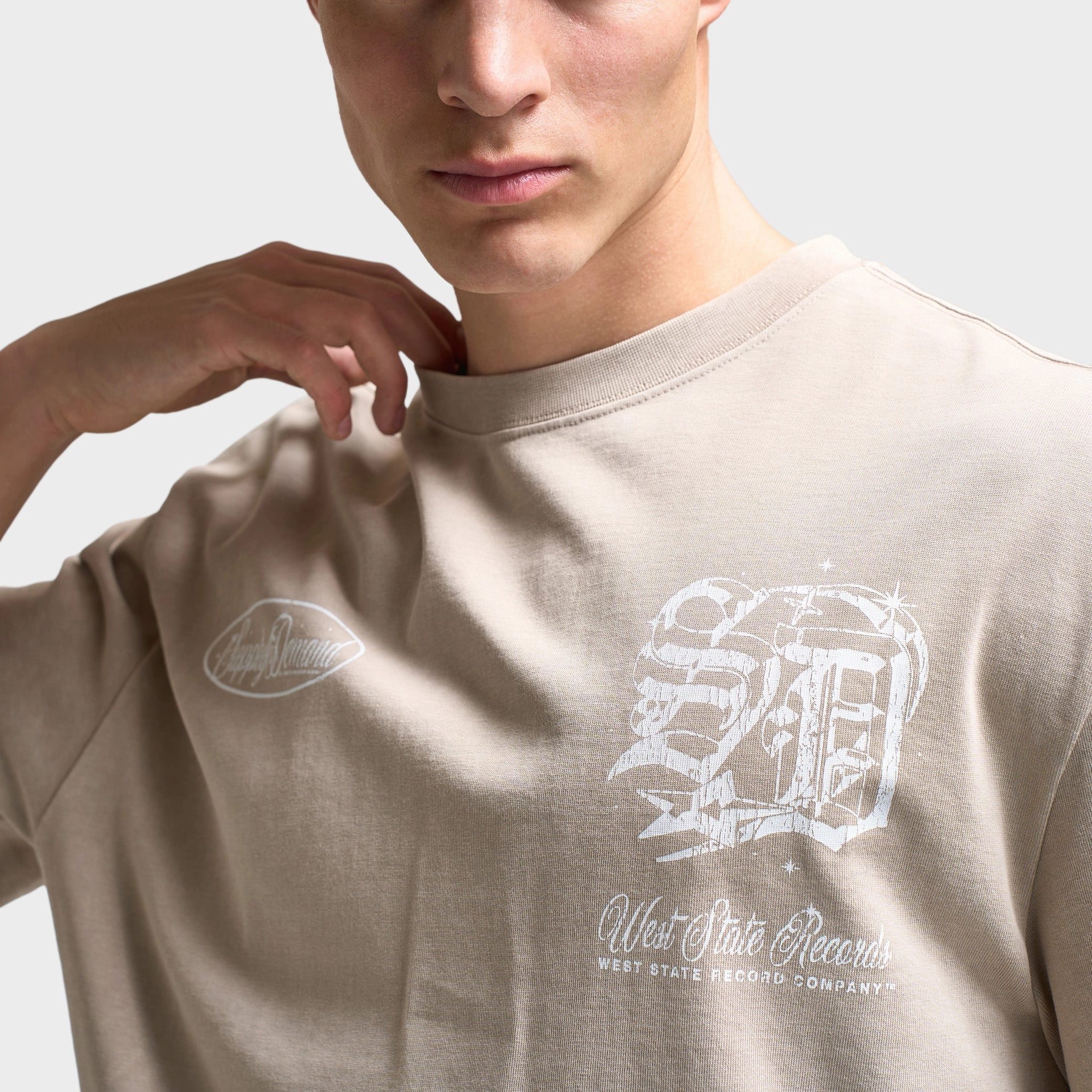 Supply & Demand Finley Graphic T-Shirt / Washed Taupe