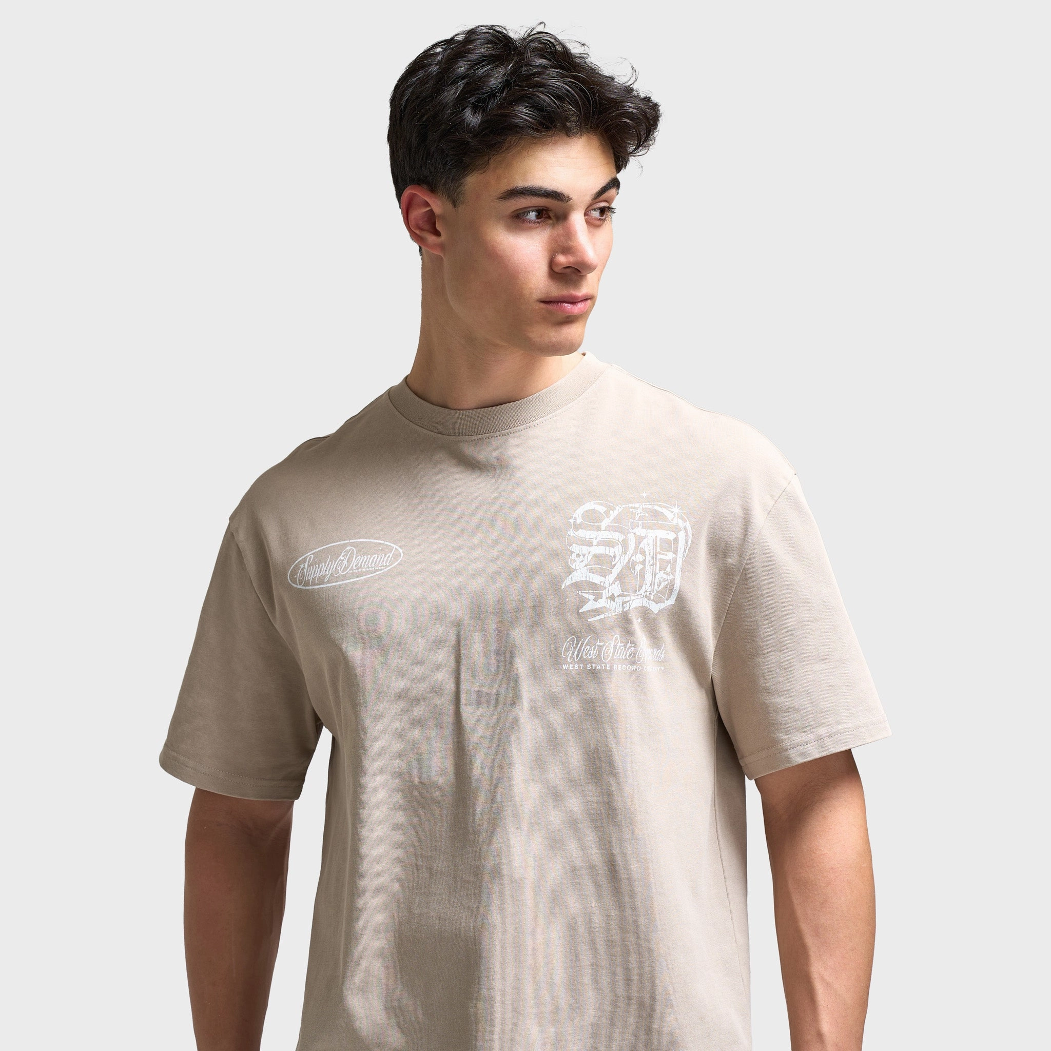 Supply & Demand Finley Graphic T-Shirt / Washed Taupe