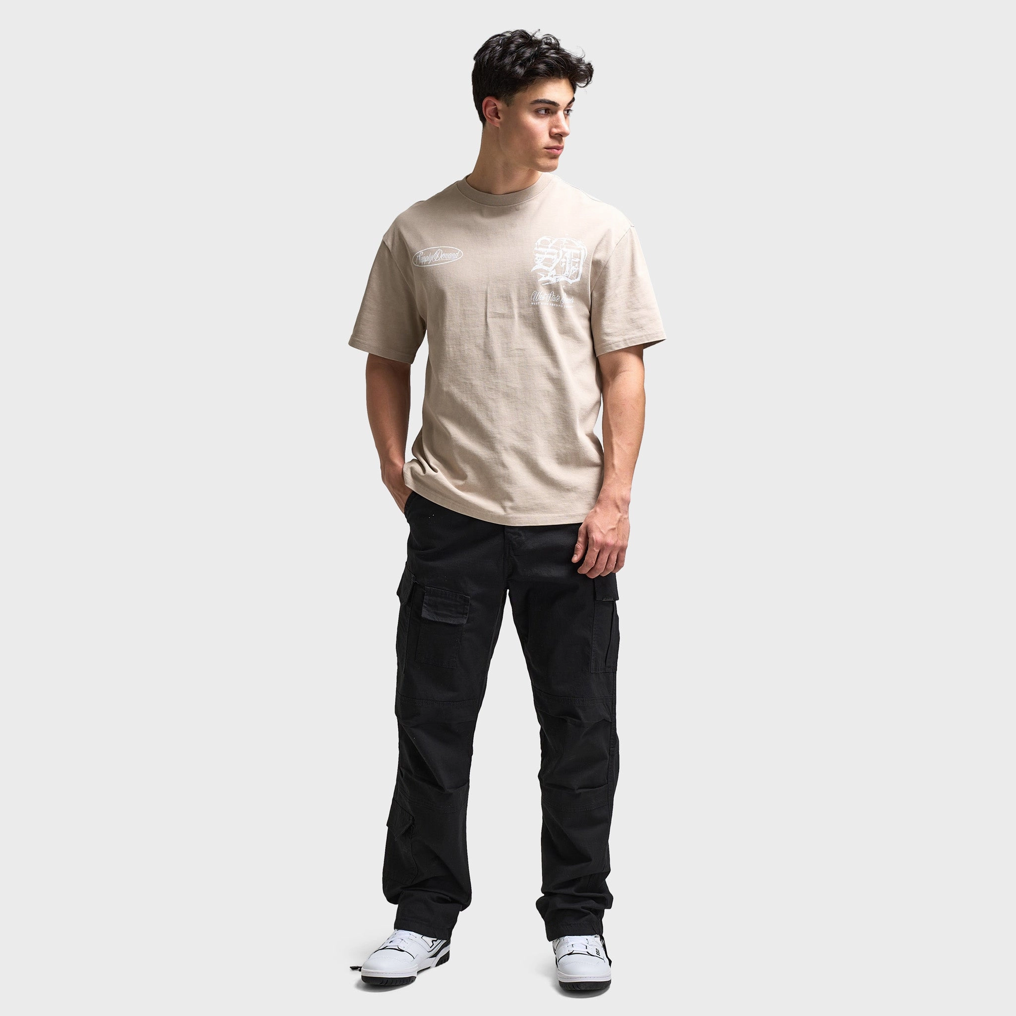 Supply & Demand Finley Graphic T-Shirt / Washed Taupe